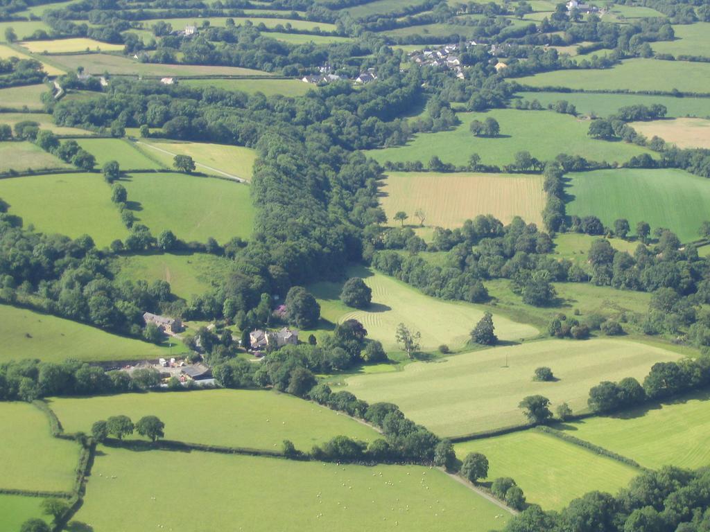 Vakantiehuis David's Organic Farm Wales *