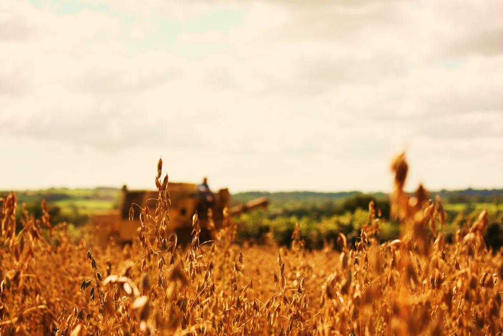 David's Organic Farm Wales Vakantiehuis